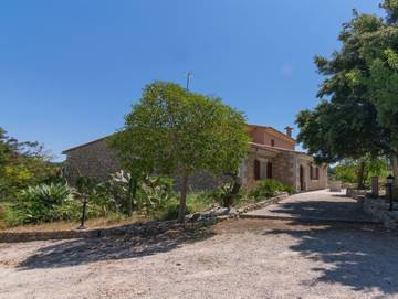 44507 - Pla De Ses Rotes in Campanet, Mallorca Inselmitte für 11 