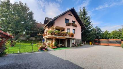 Cottage pour 3 personnes, avec terrasse ainsi que vue et jardin, animaux acceptés dans Mureș