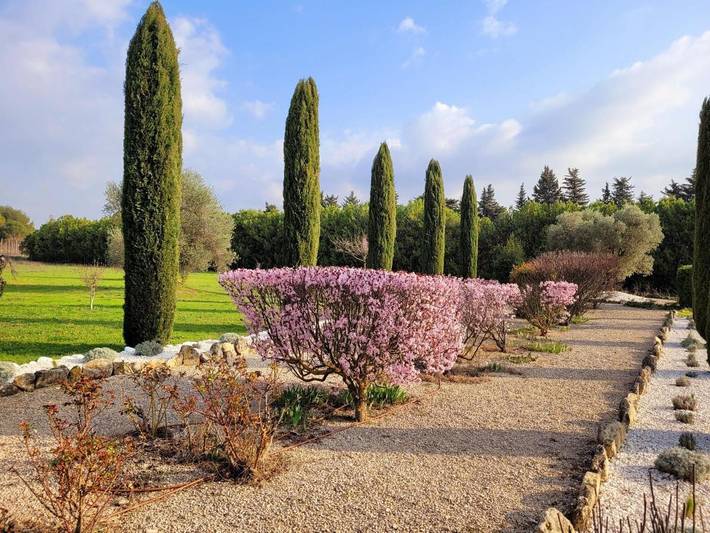 Chambre d’hôte pour 3 personnes, avec jardin ainsi que vue et piscine à Robion - 3