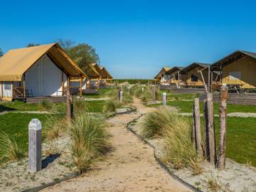 Glamping voor 4 Personen in Veluwemeer, Regio Zwolle, Afbeelding 1