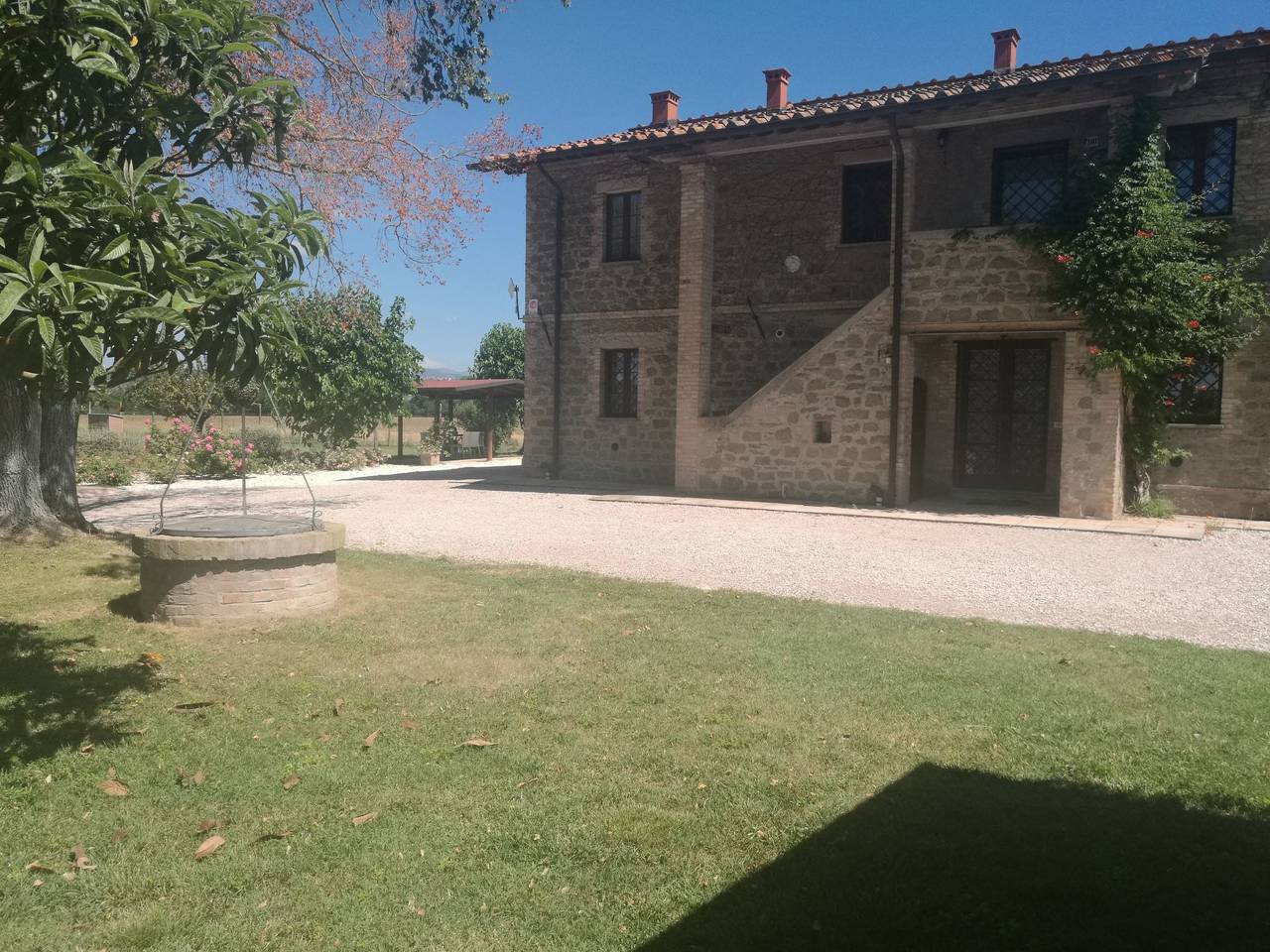 Die Maulbeerbäume auf dem Bauernhof in Torgiano, Provincia de Perugia