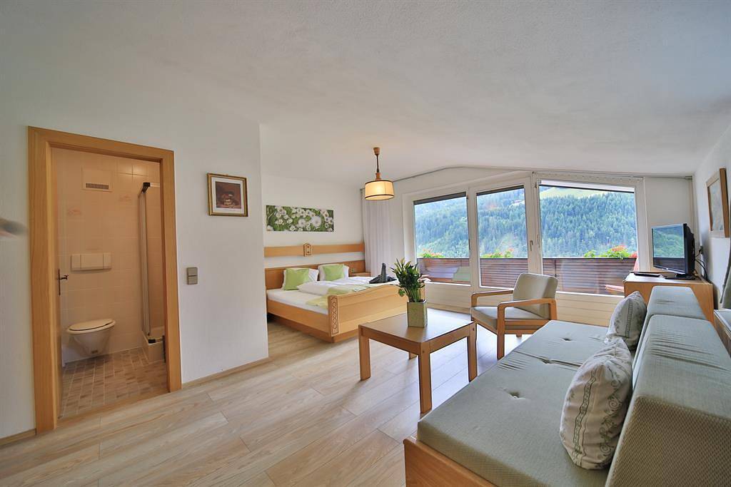 Ganze Ferienwohnung, Studio Max in Villgratner Berge, Abfaltersbach