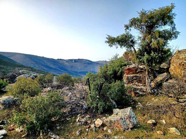 Casa de vacaciones para 4 personas, con vistas y piscina además de jardín y terraza en Montes de Toledo - 3