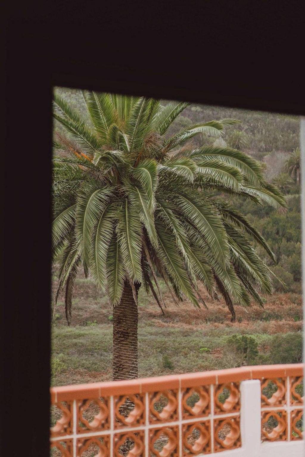 Holiday house cruz de tierno in Vallehermoso, La Gomera