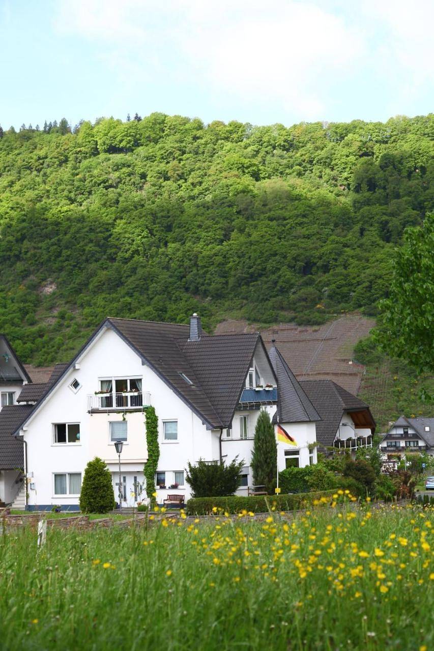 Geheel appartement, Appartement Familie Ernst in Bruttig-Fankel, Cochem-Zell