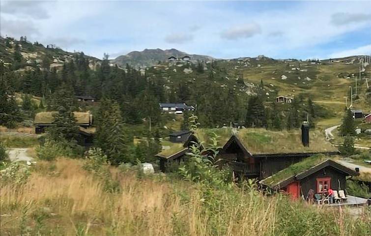 Ferienhaus für 8 Personen mit Garten in Sigdal