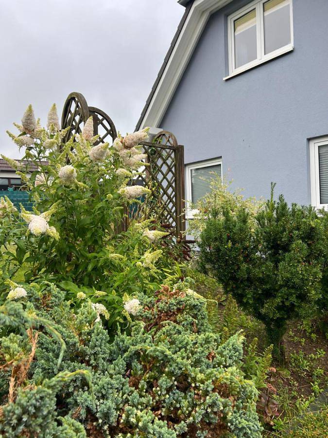 Ferienwohnung für 6 Personen, mit Terrasse in Papendorf - 2