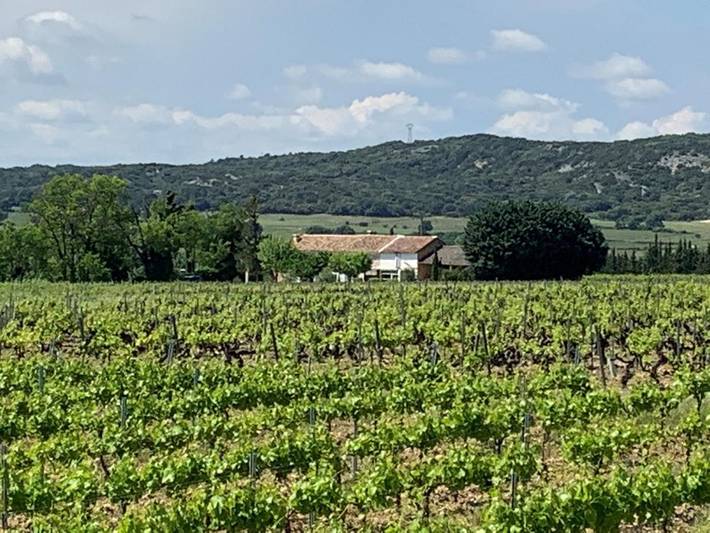 Gîte pour 5 personnes, avec piscine ainsi que vue et jardin, animaux acceptés à Roquemaure - 4