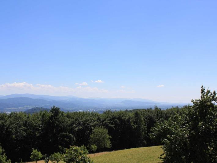 Ferienwohnung für 5 Personen, mit Garten und Ausblick sowie Balkon in Freiamt - 2