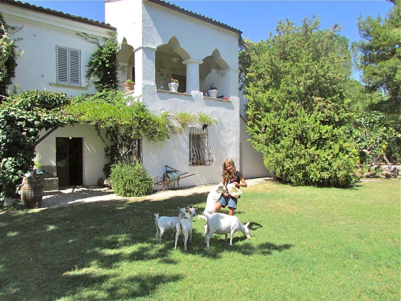 Appartamento intero, Apartment with Garden View in Tocco da Casauria, Gran Sasso