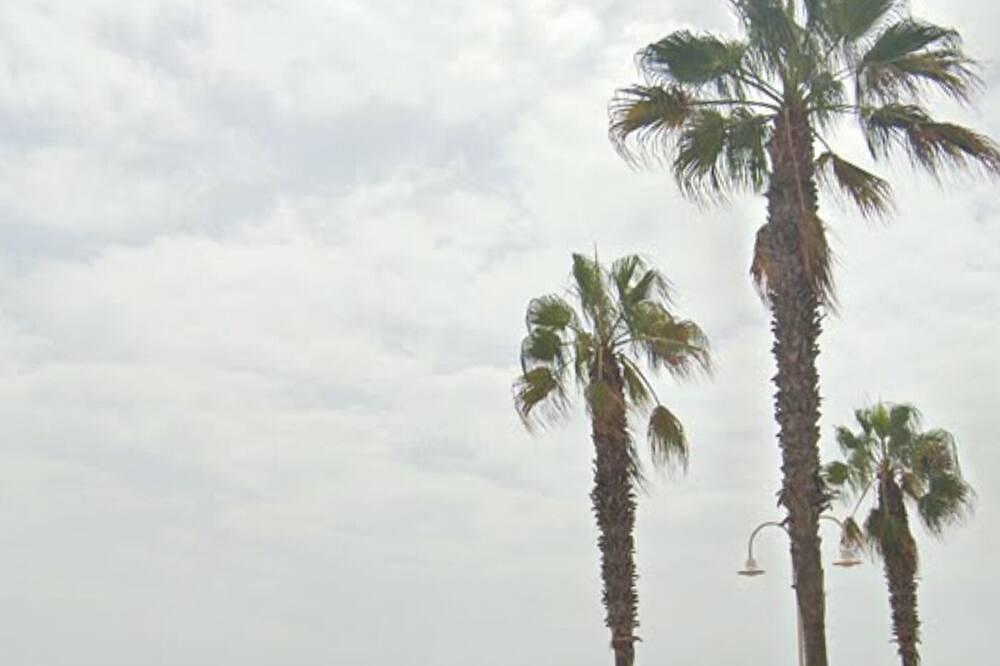 Apartamento entero, 2Linea De Playa in Melilla