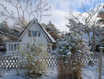 Ferienhaus für 4 Personen in Ostseebad Wustrow, Wustrow, Bild 1