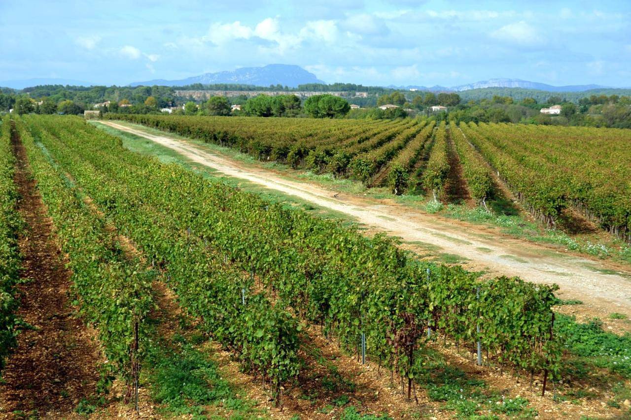 Domaine du Mas du Pont in Le Crès, Mittelmeerküste (Frankreich)