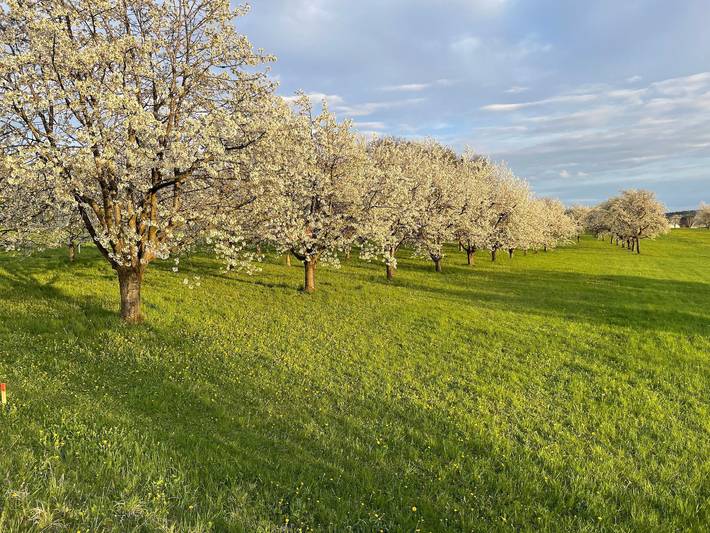 Ferienhaus für 6 Personen, mit Ausblick und Garten, kinderfreundlich in der Fränkische Schweiz - 3
