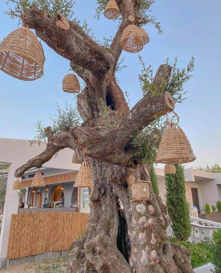 Venus Resort in Planos, Zakynthos