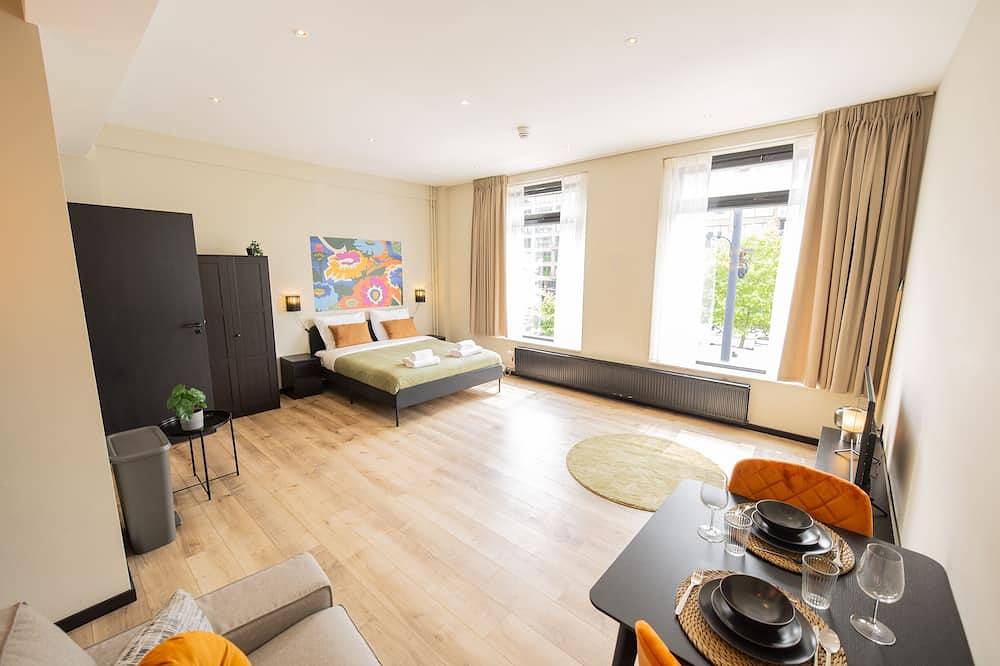 Entire apartment, The Quartz Binnenrotte Studio Br in Rotterdam, South Holland