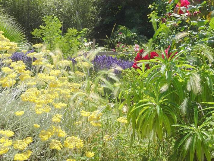 Chambre d’hôte pour 2 personnes, avec jardin ainsi que piscine et vue dans la Manche - 4
