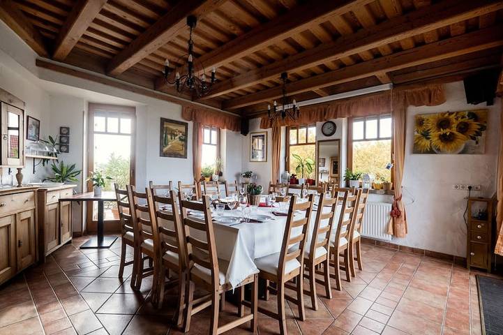 Villa for 20 people, with garden and hot tub as well as sauna in Budapest