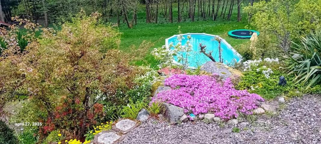 Chalet pour 8 personnes, avec piscine ainsi que jardin et vue, animaux acceptés à Ventron - 4