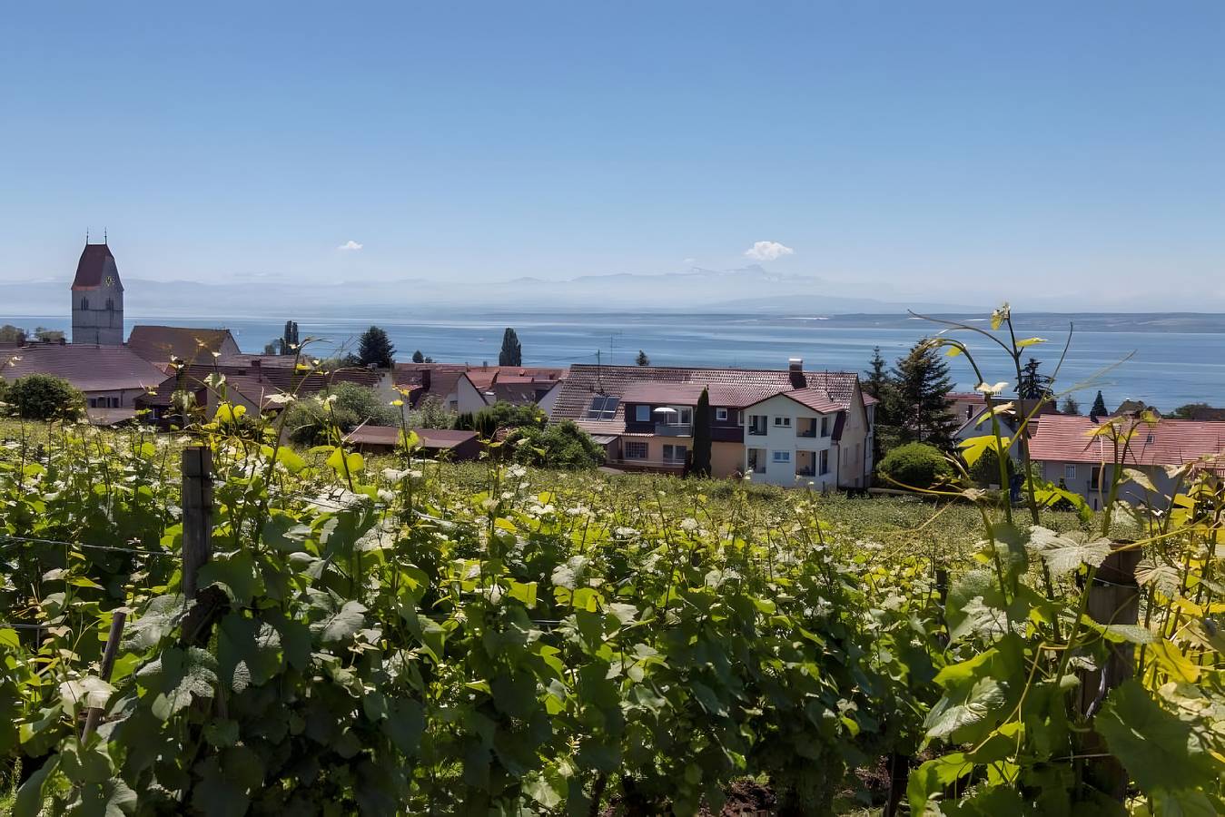 Zimmer '103' mit Gemeinschaftsgarten, Balkon und Wi-Fi in Hagnau am Bodensee, Region Bodensee-Oberschwaben