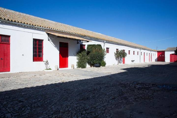 Chalet para 15 personas, con piscina además de vistas y jardín en Campiña de Jerez - 4