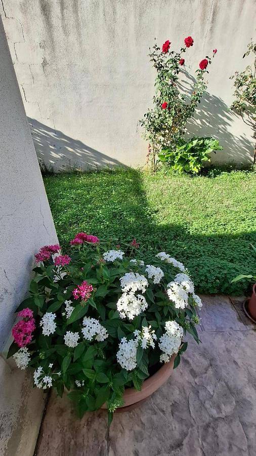 Location de vacances pour 4 personnes, avec vue et jardin dans Dolianova - 4