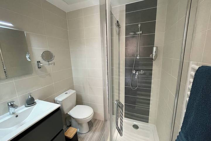 Location de vacances pour 4 personnes dans Saint-Étienne - 3