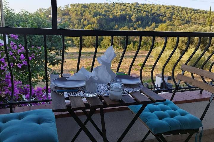 In a quiet setting, single-storey house overlooking the lush greenery of the Var. in Callas, Draguignan Region