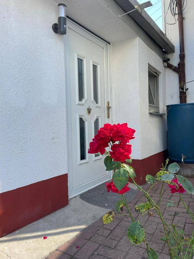 Ganze Wohnung, Ostermanns Apartment in Bretten, Kraichgau