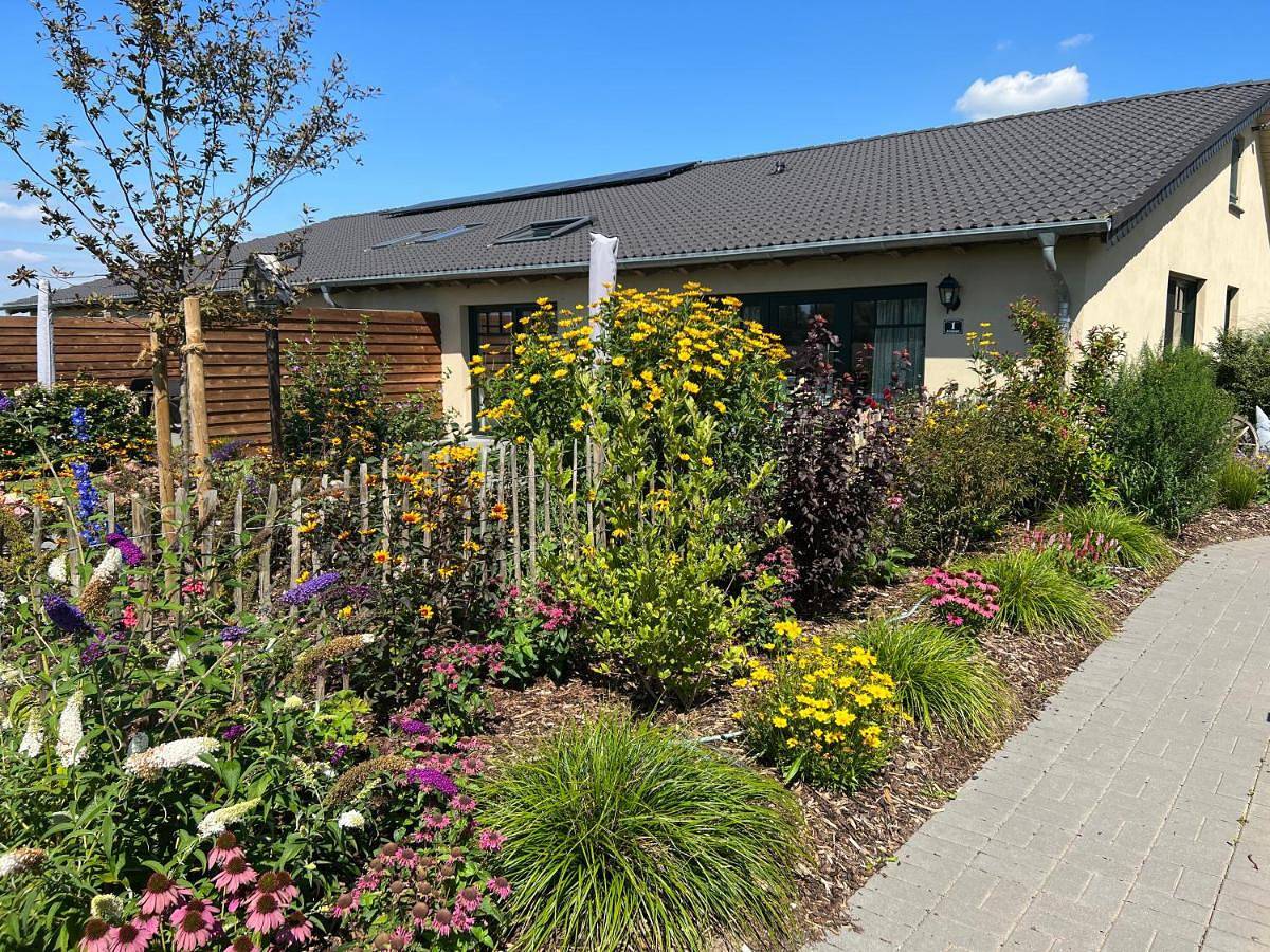 Ganze Wohnung, Königsgut Emmericher Eyland in Kalkar, Niederrhein