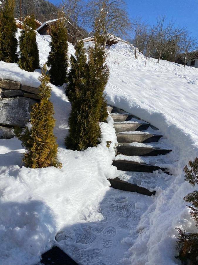 Gîte pour 4 personnes, avec jardin et vue à Montriond - 4