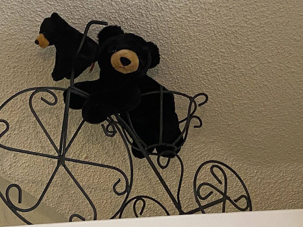 One bedroom cabin in Highlands, Nc on a creek close to everything! in Macon County