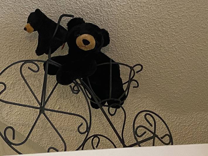 Blockhütte für 4 Personen, mit Garten und Terrasse - 1