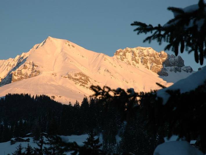 Ferienwohnung für 2 Personen, mit Garten im Berner Oberland - 3