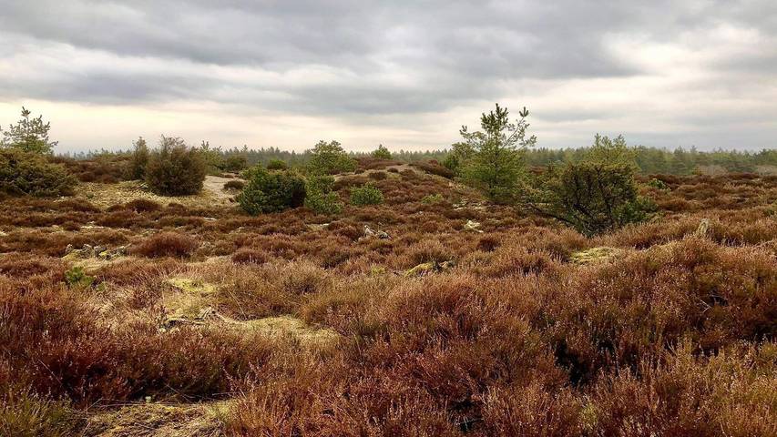 Ferienhaus für 5 Personen, mit Terrasse in Dänemark - 3