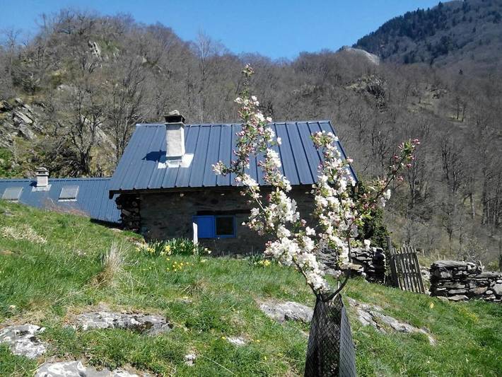 Chalet pour 3 personnes, avec Terrasse et Vue
