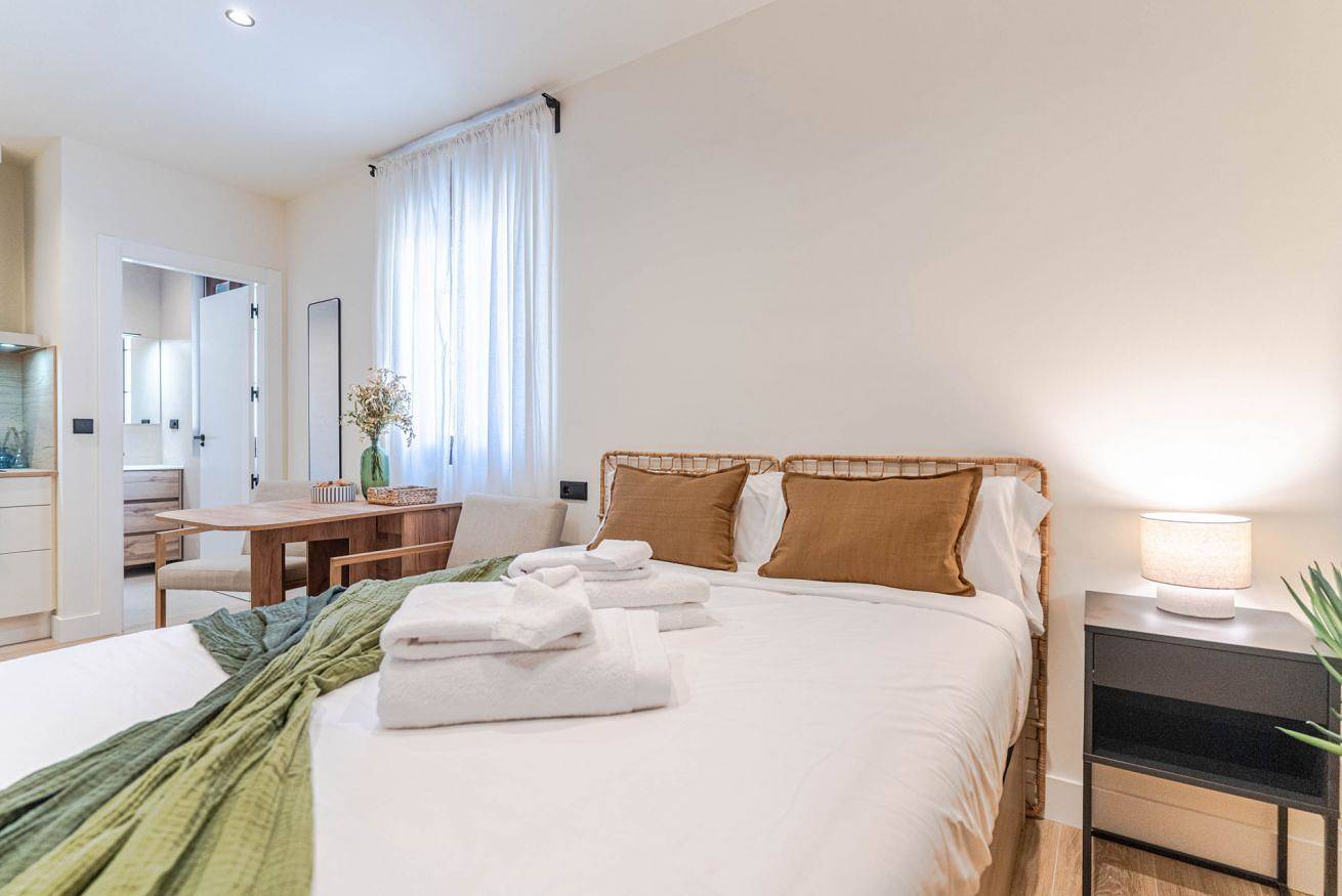 Plaza Larga Suite Modern Studio in the City Center, foto 9