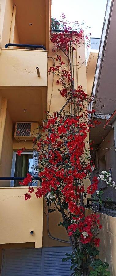 Hôtel pour 3 personnes, avec balcon et vue dans Georgioupoli - 3