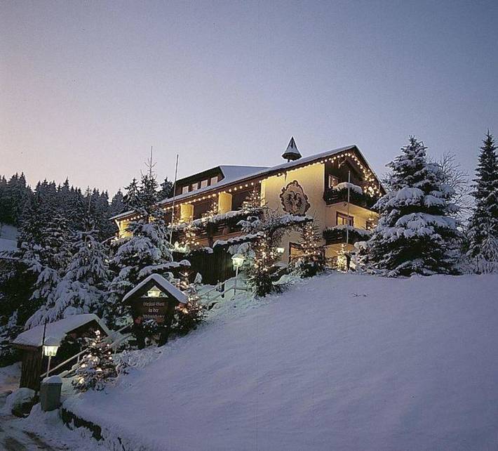 Hôtel pour 3 personnes, avec Balcon et Terrasse ainsi que Jardin et Vue à Schönwald im Schwarzwald
