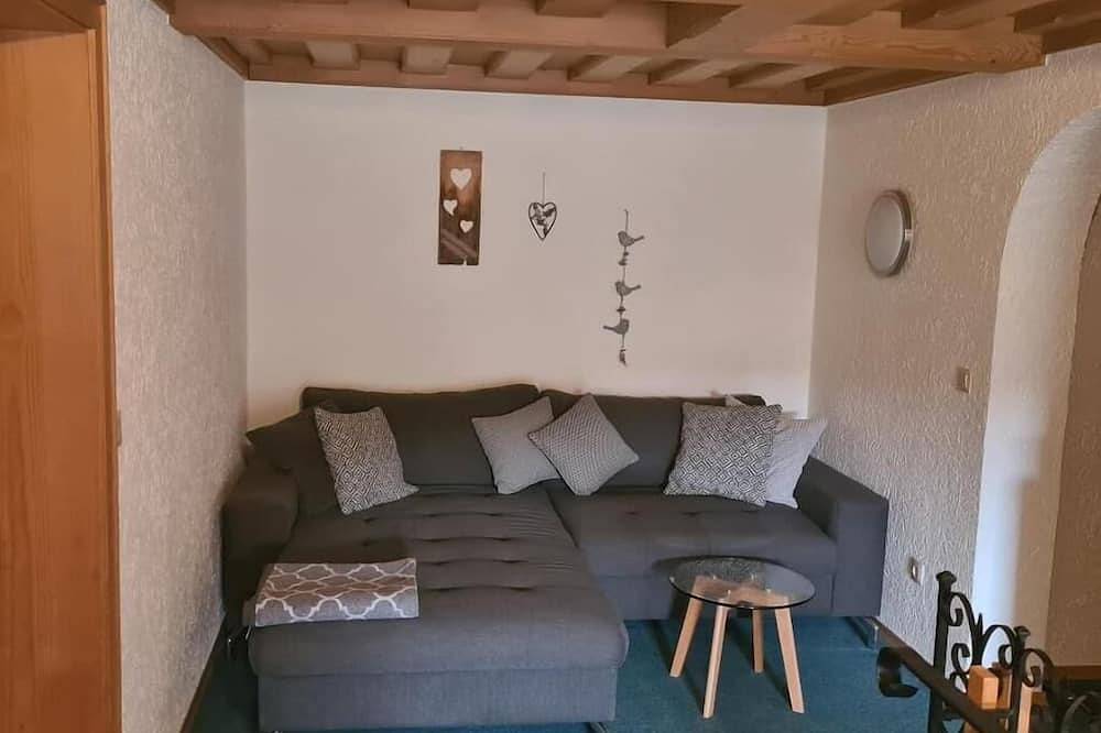 Ganze Wohnung, Große 100m2-Ferienwohnung im Dachgeschoss für 6 Personen in Grainet, Šumava Mountains
