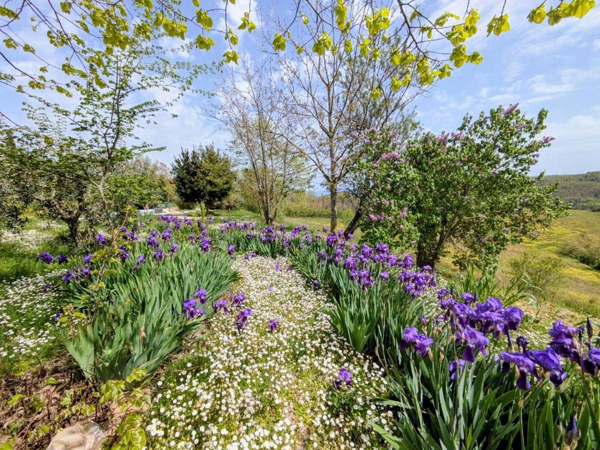 Appartamento intero, Agriturismo Casa Greppo in San Venanzo, Perugia e dintorni