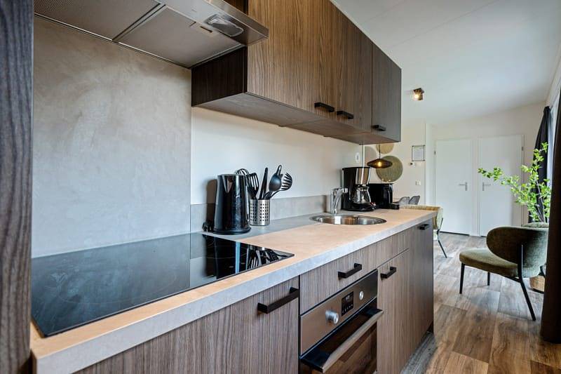 Rcn de Noordster — Chalet Capella in Nationaal Park Dwingelderveld