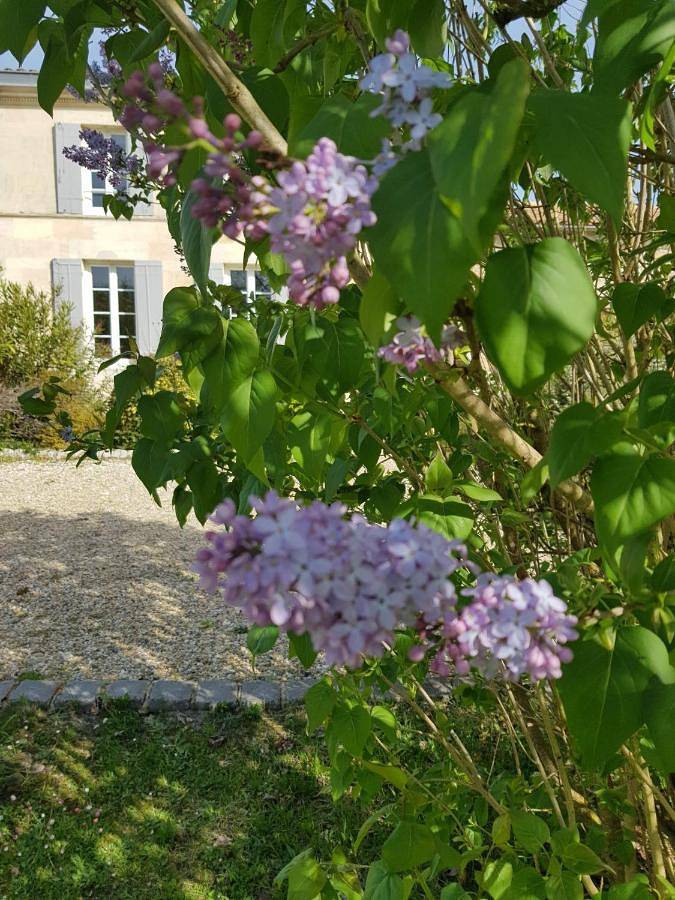 Maison d’hôte pour 2 personnes, avec jardin et piscine