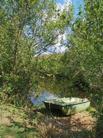 Location de vacances pour 26 personnes, animaux acceptés dans Mont-de-Marsan - 3