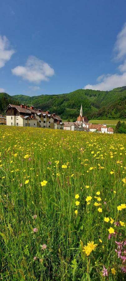Gîte pour 4 personnes, avec vue à Gaming - 2