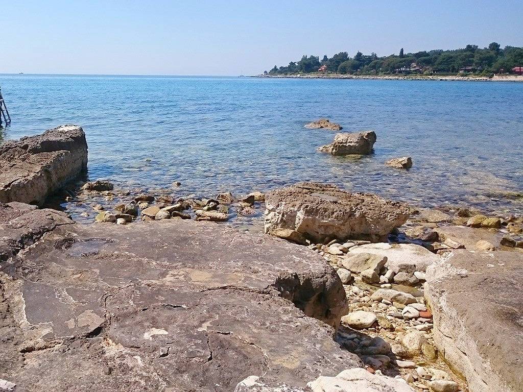 Cijeli apartman, Apartman in Umaška regija