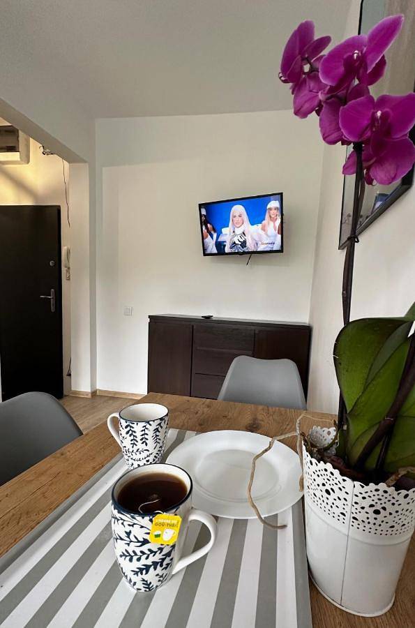 Apartament wakacyjny dla 4 osób, z Ogród i Widok w Kalisz