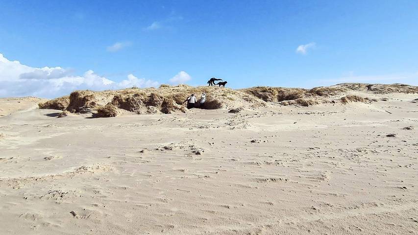 Ferienhaus mit Meerblick für 5 Personen, mit Sauna und Pool sowie Balkon auf Fanø - 4