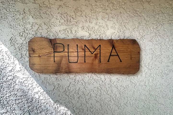 Gîte pour 6 personnes, animaux acceptés