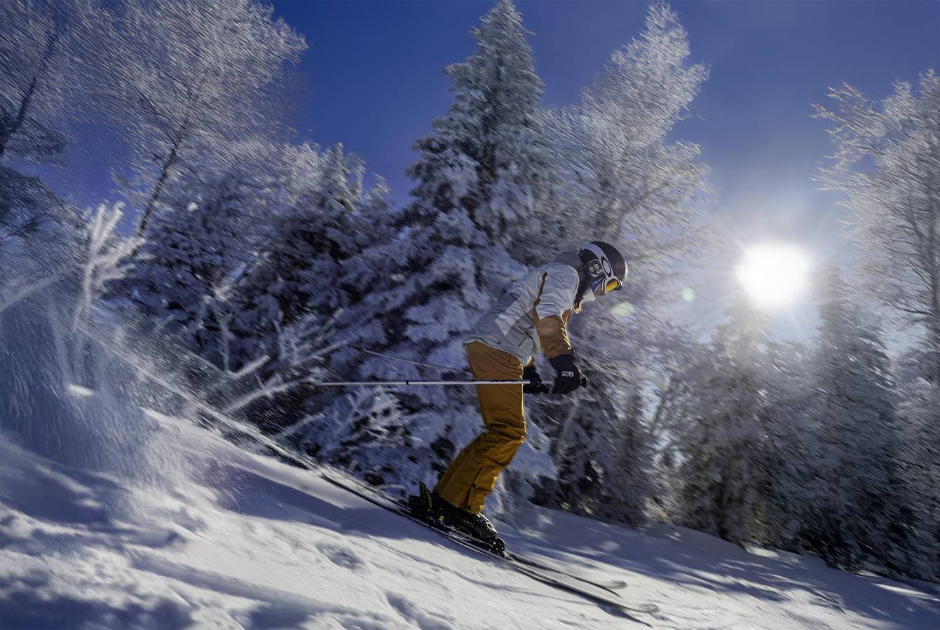 Ganze Wohnung, Résidence le Sornin - 2-Zimmer-Appartment für 4 Personen in Autrans-Méaudre-en-Vercors, Parc naturel régional du Vercors